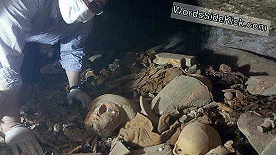 Tomb Full Of Mummies Unearthed Luxorissa