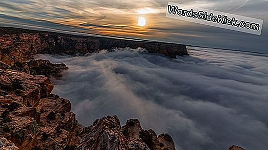 Cloud 'Tide' Täyttää Grand Canyonin Upeassa Time-Lapse -Videossa