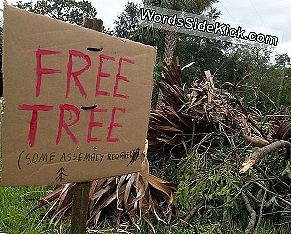 Florida Julistaa Hätätilanteen Hirmumyrsky Irma Muuttuu Luokkaan 5 Superstorm