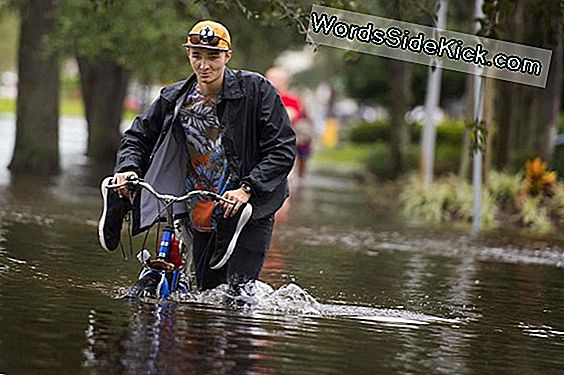 Hurricane Harvey Aiheutti Joillakin Alueilla 500 000 Vuoden Tulvat