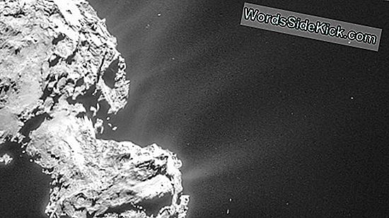 Comet Todennäköisesti Ei Aiheuttanut Bizarre 