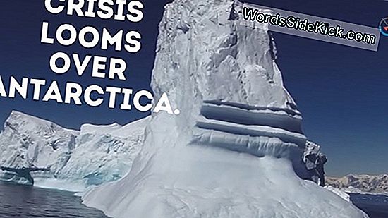 Dramatic Video Captures Moment Towering Iceberg Jakaa Grönlannin Glacier