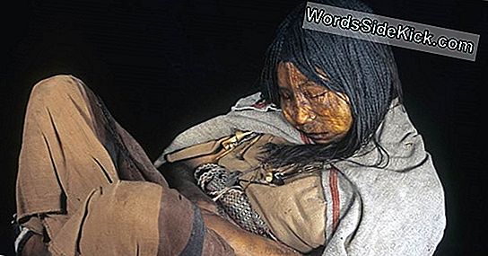 'Maiden' Inca Mummy Cieta Plaušu Infekcija Pirms Upurēšanas