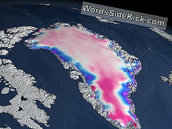 La Perte De Glace Du Groenland Vient Maintenant De La Surface