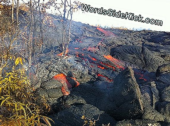 Kilauea Lava Flow Consume Un Cimetière Et Atteint La Ville