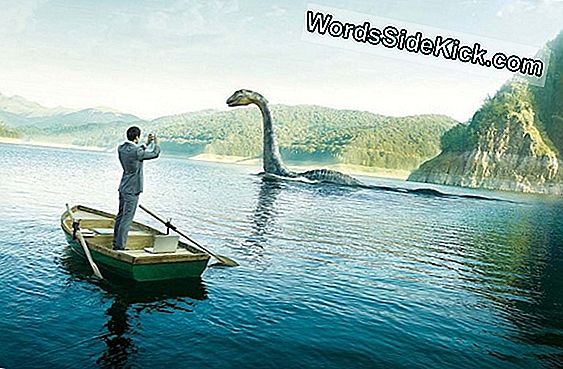 Le Monstre Du Loch Ness Est-Il Mort?