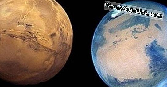 Canulars De Mars! 6 Théories De Conspiration De La Planète Rouge Têtu
