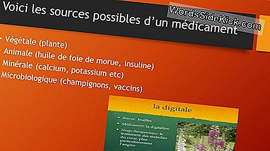 Un Vaccin Synthétique Pourrait Combattre Le Paludisme Et Le Vih