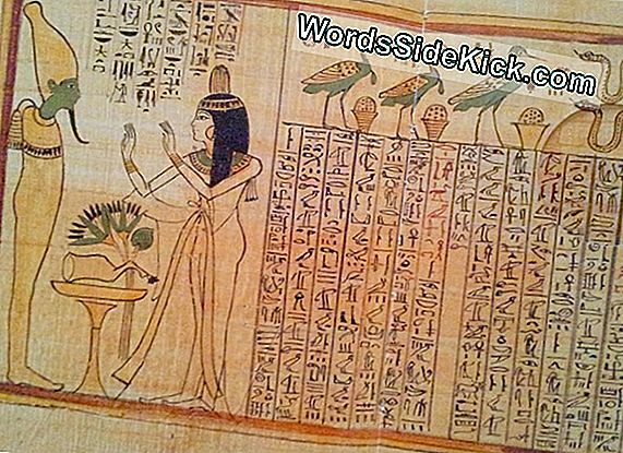 Vie Quotidienne Des Anciens Egyptiens Traduits Dans Un Nouveau Dictionnaire