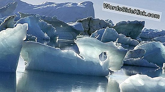 La Fonte Des Glaces Du Groenland S'Accélère