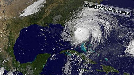 Ouragan Matthew: Où Va Cette Tempête Massive?