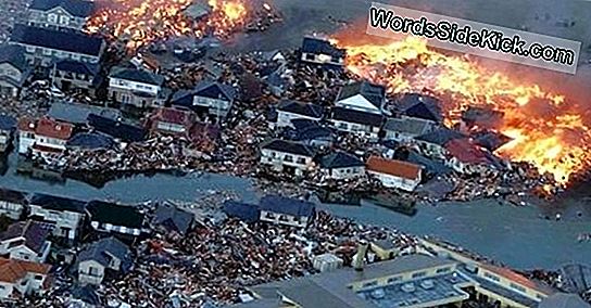 Le Tsunami Au Japon Laissé Derrière D'Énormes Dunes Sous-Marines