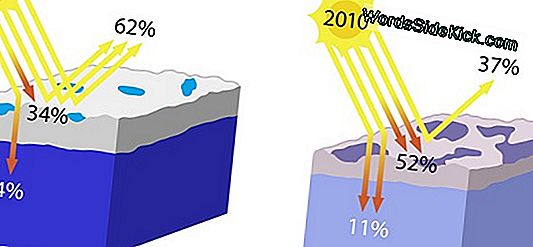 Sun Accusé De Réchauffement De La Terre Et D'Autres Mondes