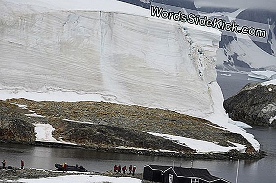 Embaumé! L'Antarctique A Battu Le Record De 63 Degrés F En 2015