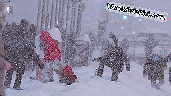 10 Plus Grosses Tempêtes De Neige De Tous Les Temps