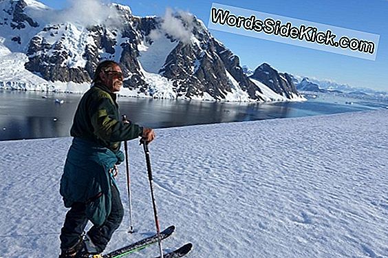 La Toute Première Expédition Antarctique Exclusivement Féminine Berce Le Mythe De L'Endurance Féminine