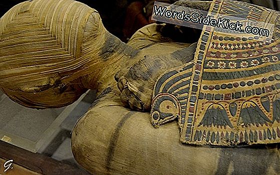 La Momie Du Fonctionnaire Du Pharaon A Découvert Un Sarcophage En Pierre Calcaire En Egypte