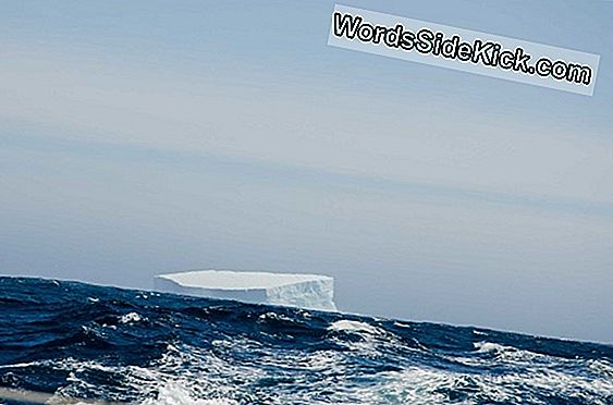 Un Énorme Iceberg Sur Le Point De Briser Le Glacier De Pine Island En Antarctique