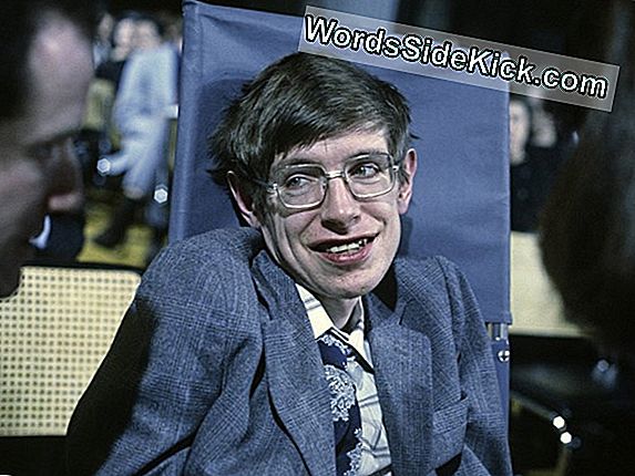 Stephen Hawking: Une Icône De La Physique Rappelée En Photos