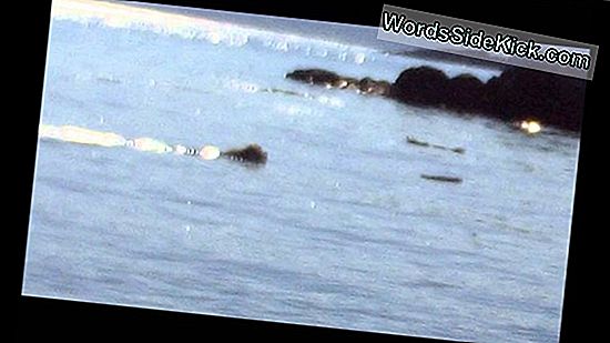 „Ogopogo“: Kanados „Loch Ness Monster“