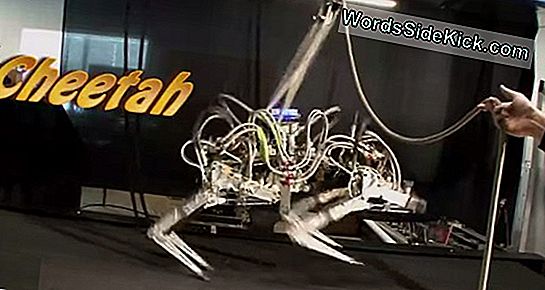 Stealth Cheetah Robot Sprints Like A Cat (Video)