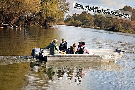 Lov Na Kopnu Ne Može Pomoći Gladnom Polarnom Medvjedu