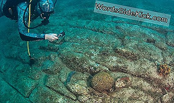 Podvodni Arheolozi Pronalaze Iznenađujuće Artefakte Iz Glavne Rimske Pomorske Bitke