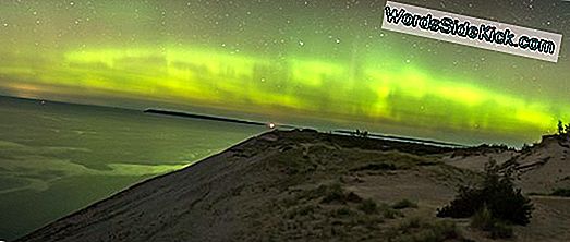 Foto: Northern Lights Dance Iznad Denalija