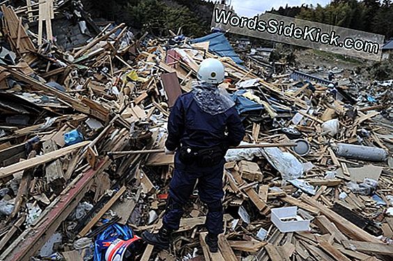 Japan Quake Podnosi Wstrząsające Ryzyko Gdzie Indziej W Kraju