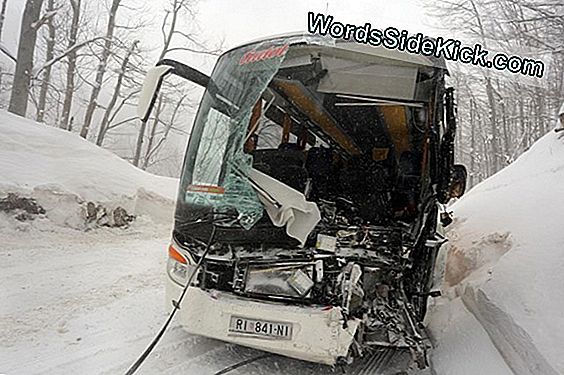 Sreća Je Djelomično Nasljedna