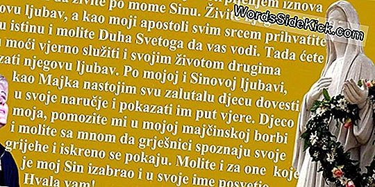 Djevičino Rođenje: Zebra Morski Pas Ima Bebe Bez Parenja