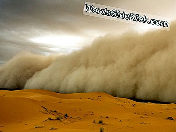Dust Storm Fúj A Szaharai Sivatagban