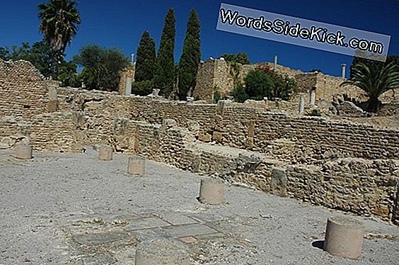 Carthage: Az Ősi Föníciai Város-Állam