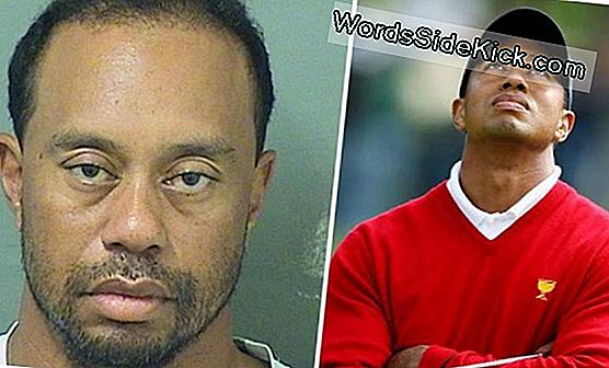 Tiger Woods E Dipendenza Dal Sesso: Malattia Reale O Facile Scusa?