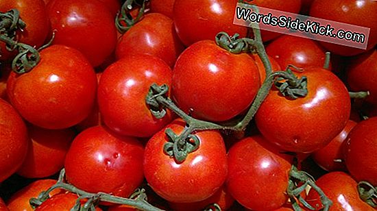 I Pomodori Biologici Hanno Più Vitamina C