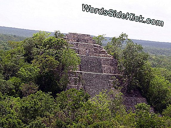 Rovine Della Città Di Maya Scoperta Nella Giungla Remota
