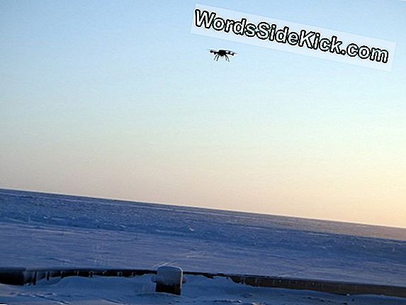 Rise Of The Drones: Unmanned Aircraft Sneak Into The Arctic