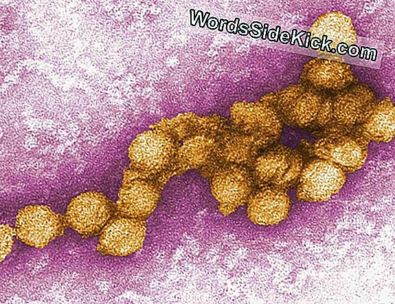 Il Virus Dell'Herpes Dà All'Uomo Un'Infezione Da Dito Del Diavolo