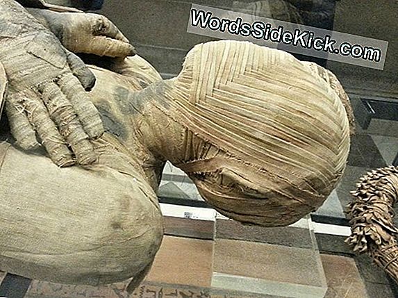 I Tatuaggi Simbolici Della Mummia Egiziana Sono Il Primo Del Loro Genere