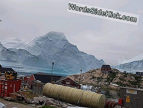 Enorme Iceberg Della Groenlandia Che Inizia A Spezzarsi