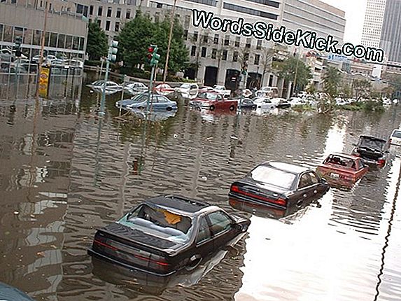 L'Uragano Sandy-Level Floods Probabilmente Colpire Nyc Più Spesso