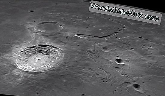 Moon Photobombs Earth Nel Nuovo Video Della Nasa