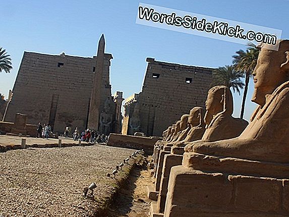 Mummia Dell'Antico Nobile Egiziano Scoperta Lungo Il Fiume Nilo