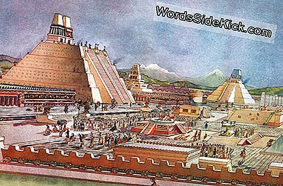 Templi Aztechi A Tenochtitlan All'interno