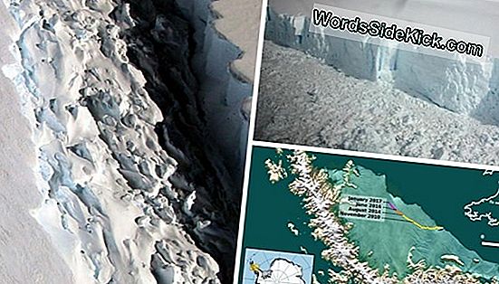 L'Iceberg Del Delaware Sta Per Staccarsi Dall'Antartide