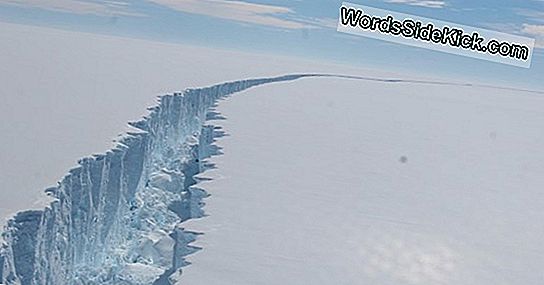 Un Iceberg Di Trilioni Di Tonnellate Interrompe L'Antartide