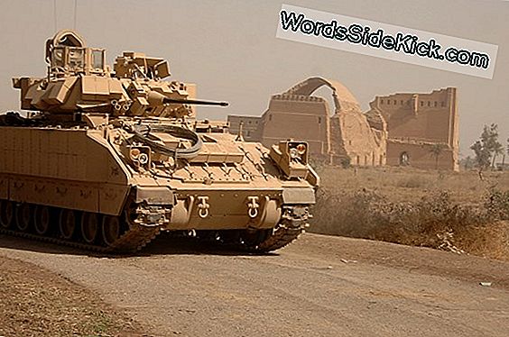 Come Funziona Bradley Fighting Vehicles