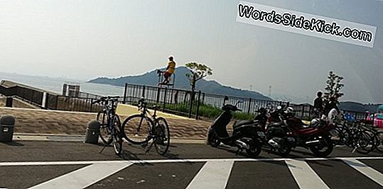 海の深さにはサメがいません