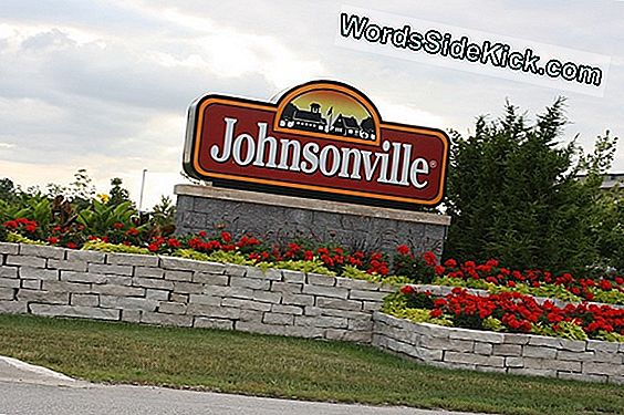 „Johnsonville“ Dešra, Llc Primena Turkijos Dešros Gaminius