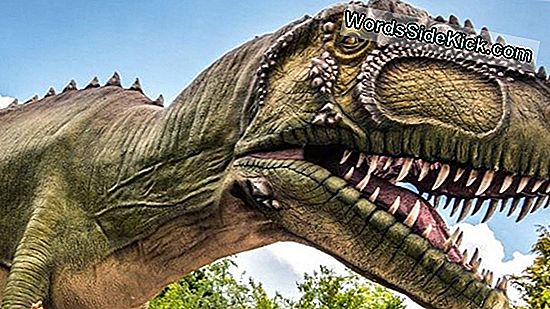 Giganotosaurus: Faktai Apie „Milžinišką Pietų Driežą“